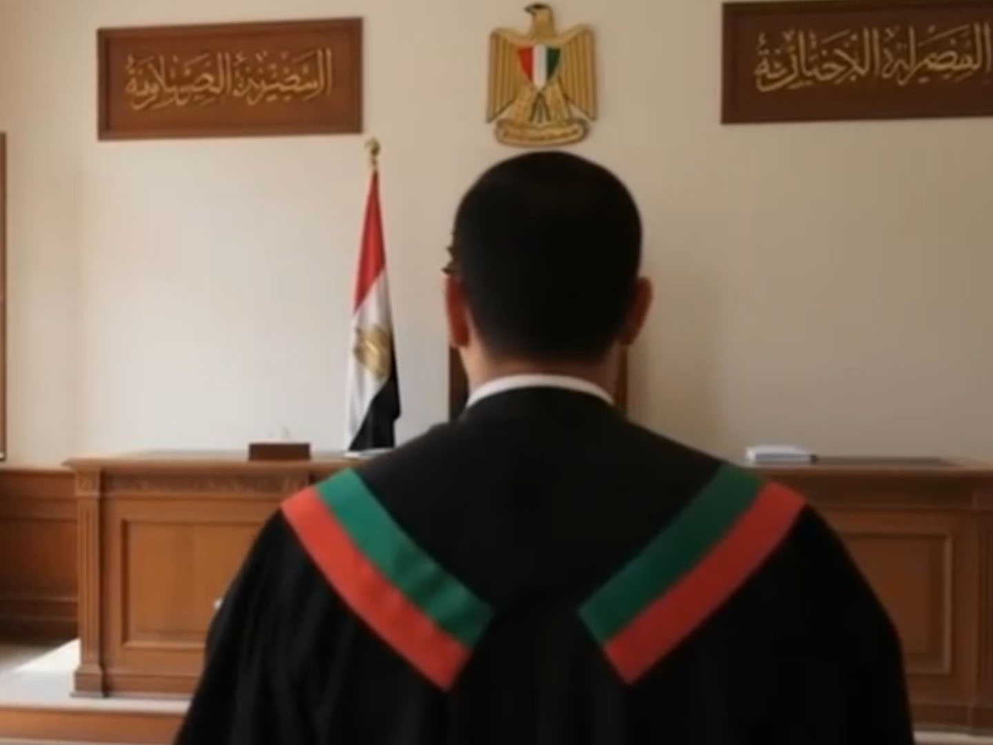 تمثيل قضائي أمام المحاكم